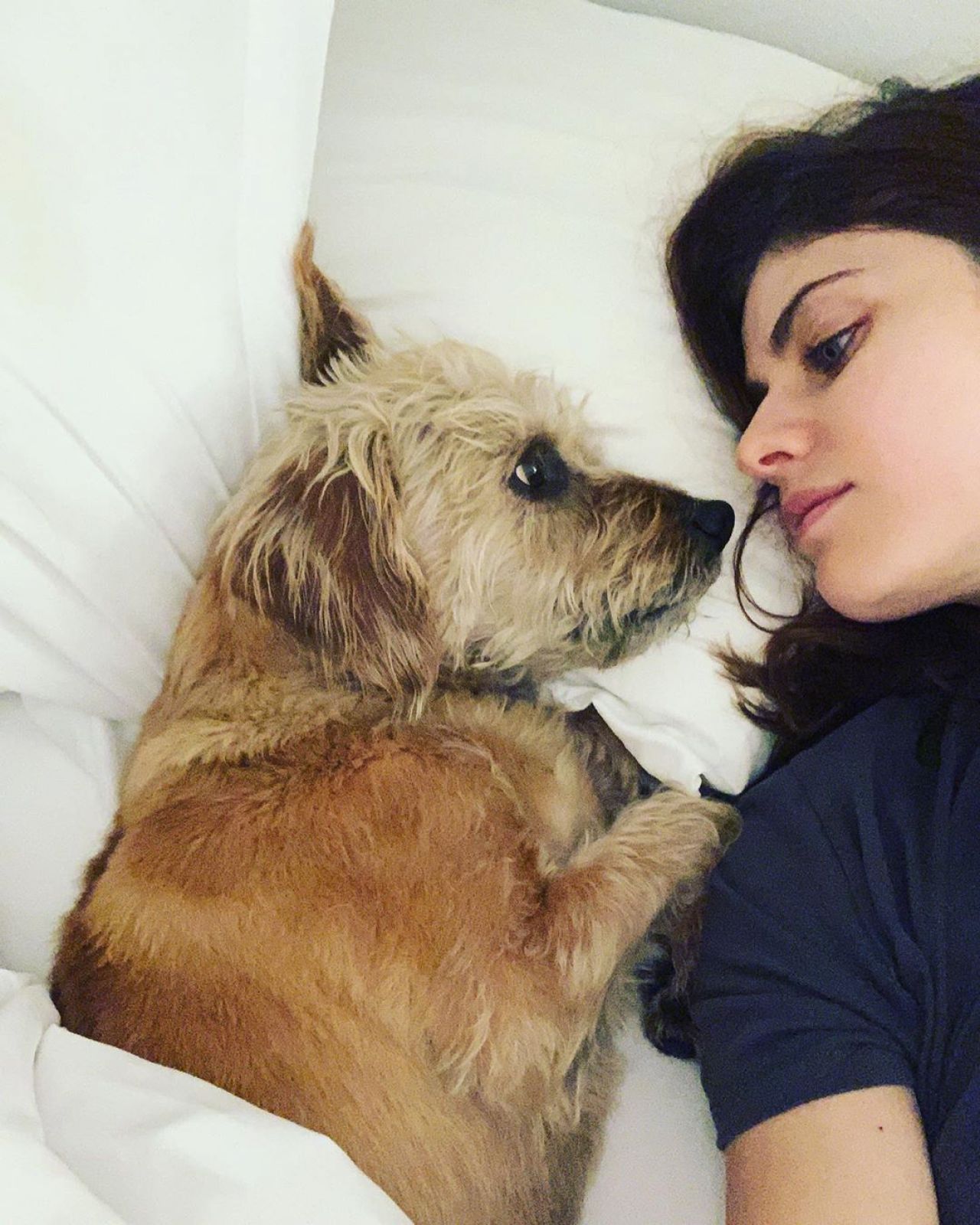 Alexandra Daddario  Photoshoot