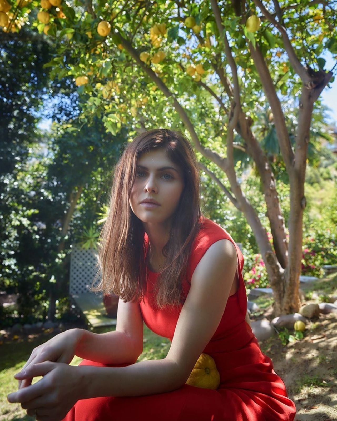 Alexandra Daddario  Photoshoot