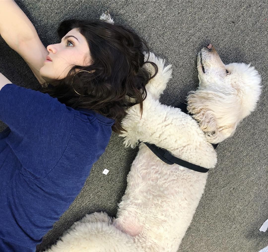 Alexandra Daddario Leg Photoshoot