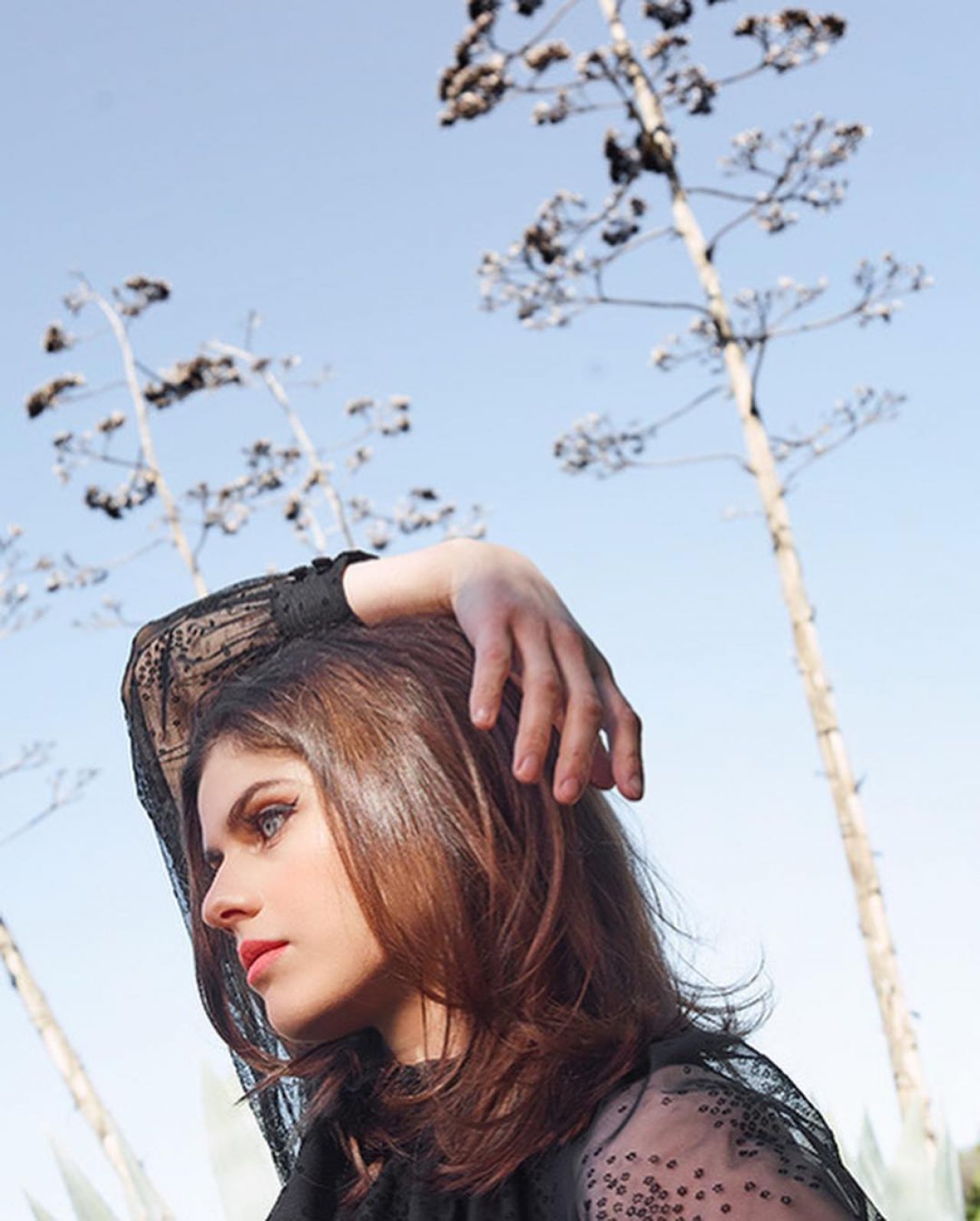 Alexandra Daddario  Photoshoot