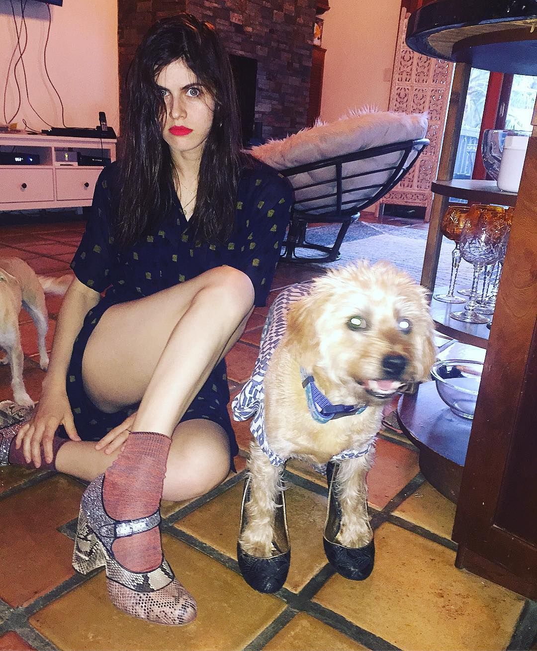 Alexandra Daddario Leg Photoshoot
