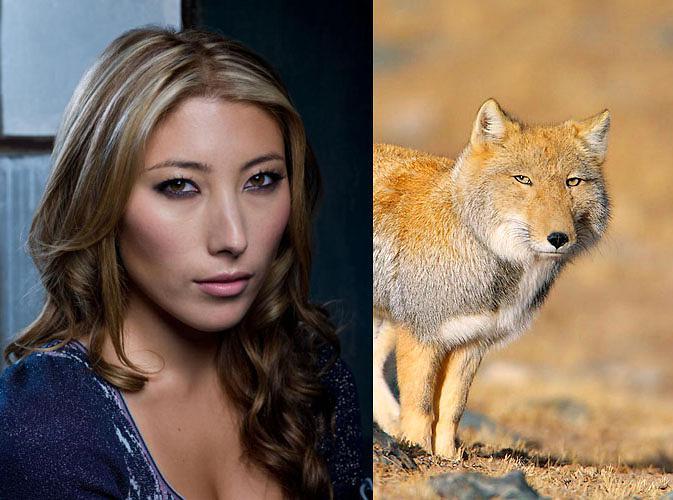 Dichen Lachman Sexy and Hottest Photos , Latest Pics