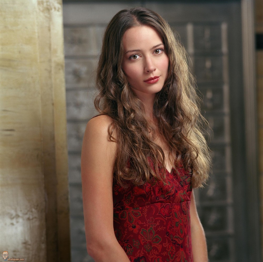 Amy Acker Sexy and Hottest Photos , Latest Pics