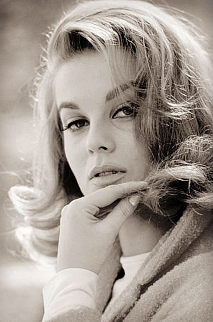 AnnMargret Sexy and Hottest Photos , Latest Pics