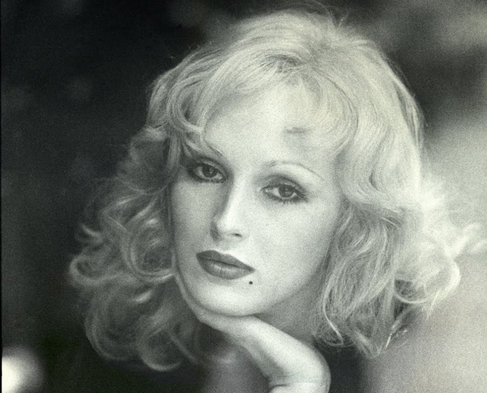 Candy Darling Sexy and Hottest Photos , Latest Pics