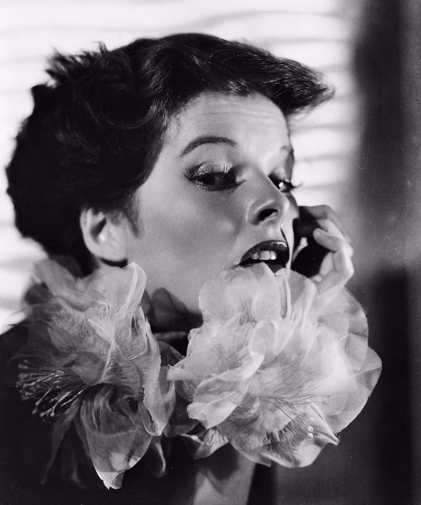 Katharine Hepburn  Photoshoot