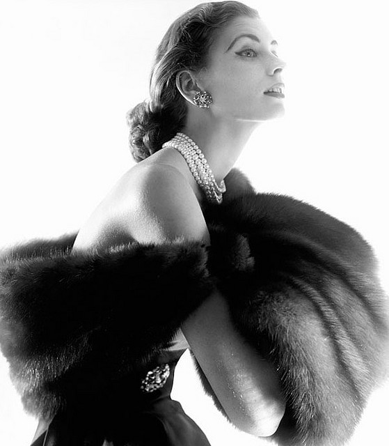 Suzy Parker Sexy and Hottest Photos , Latest Pics