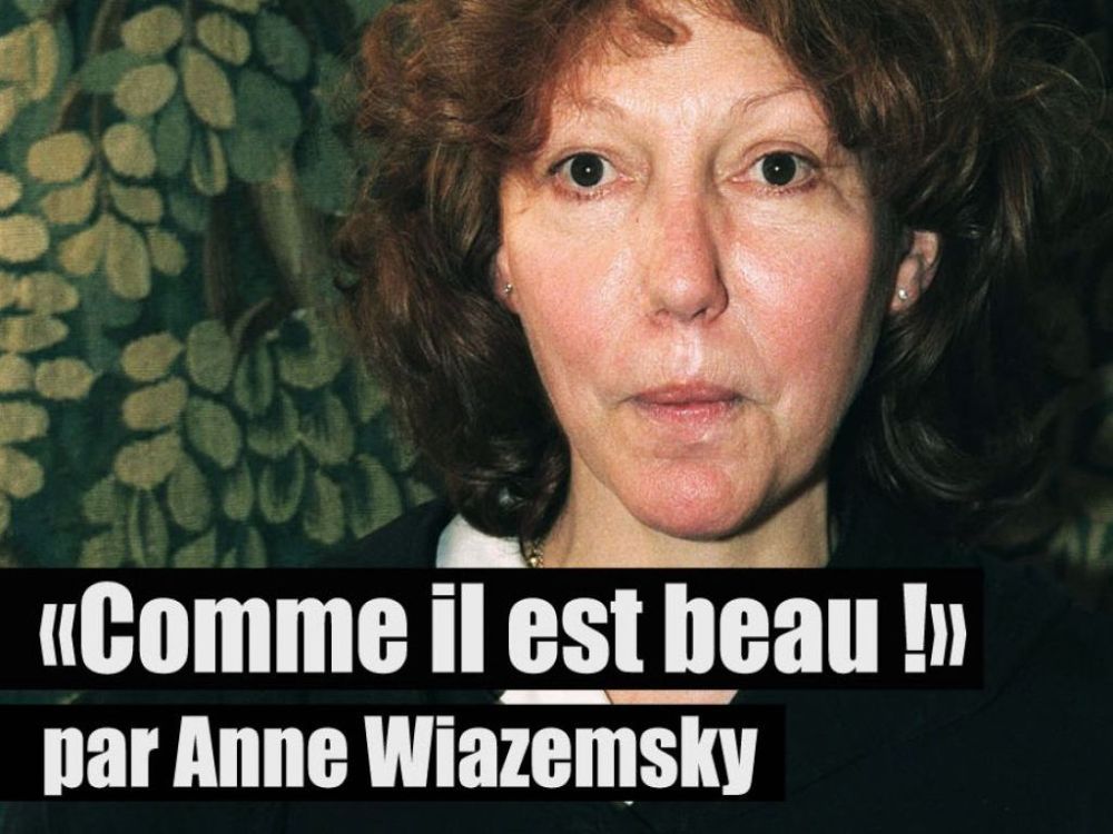 Anne Wiazemsky Sexy and Hottest Photos , Latest Pics