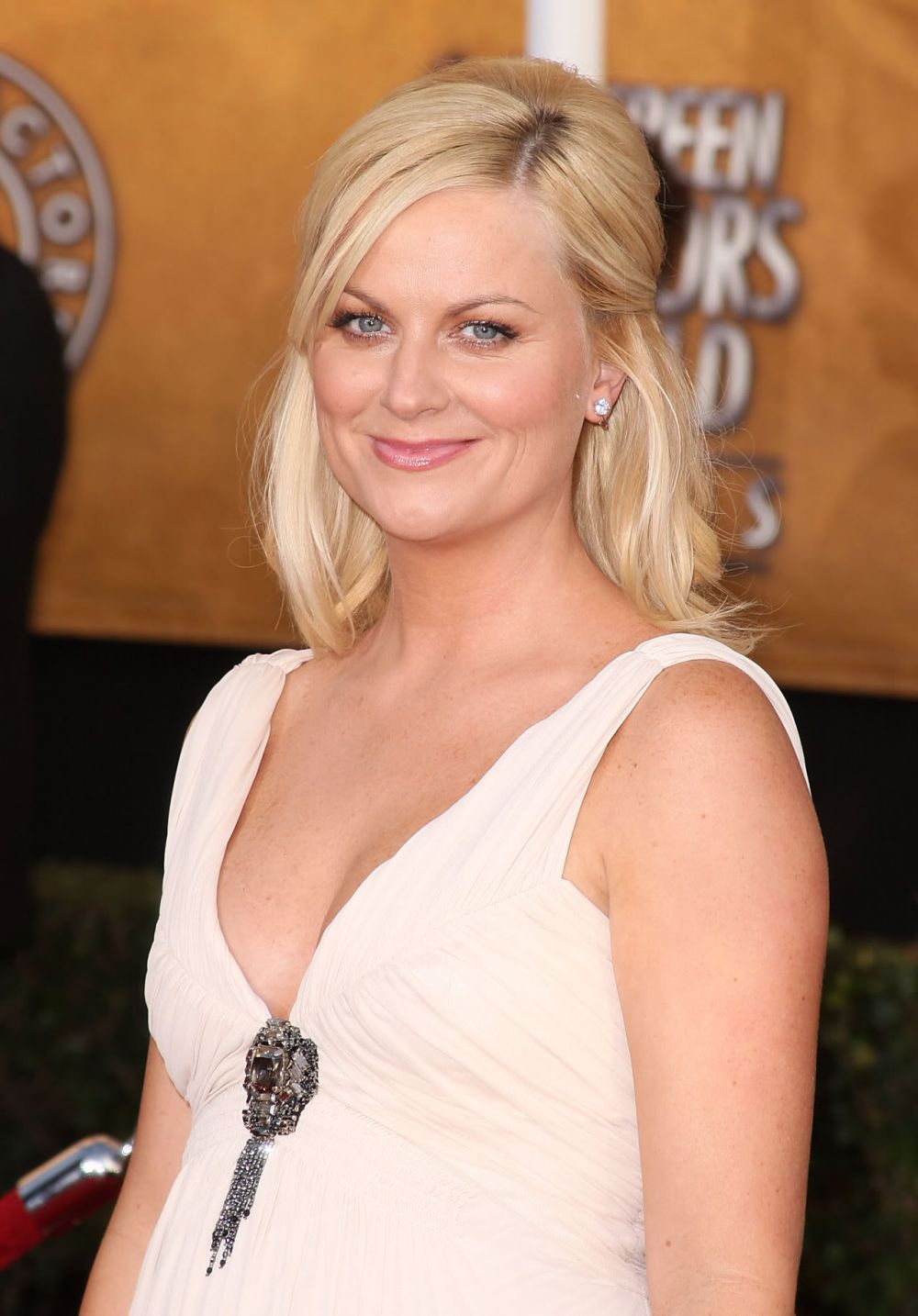 Amy Poehler Sexy and Hottest Photos , Latest Pics