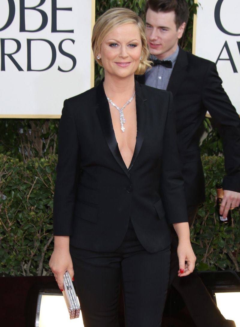 Amy Poehler Sexy and Hottest Photos , Latest Pics