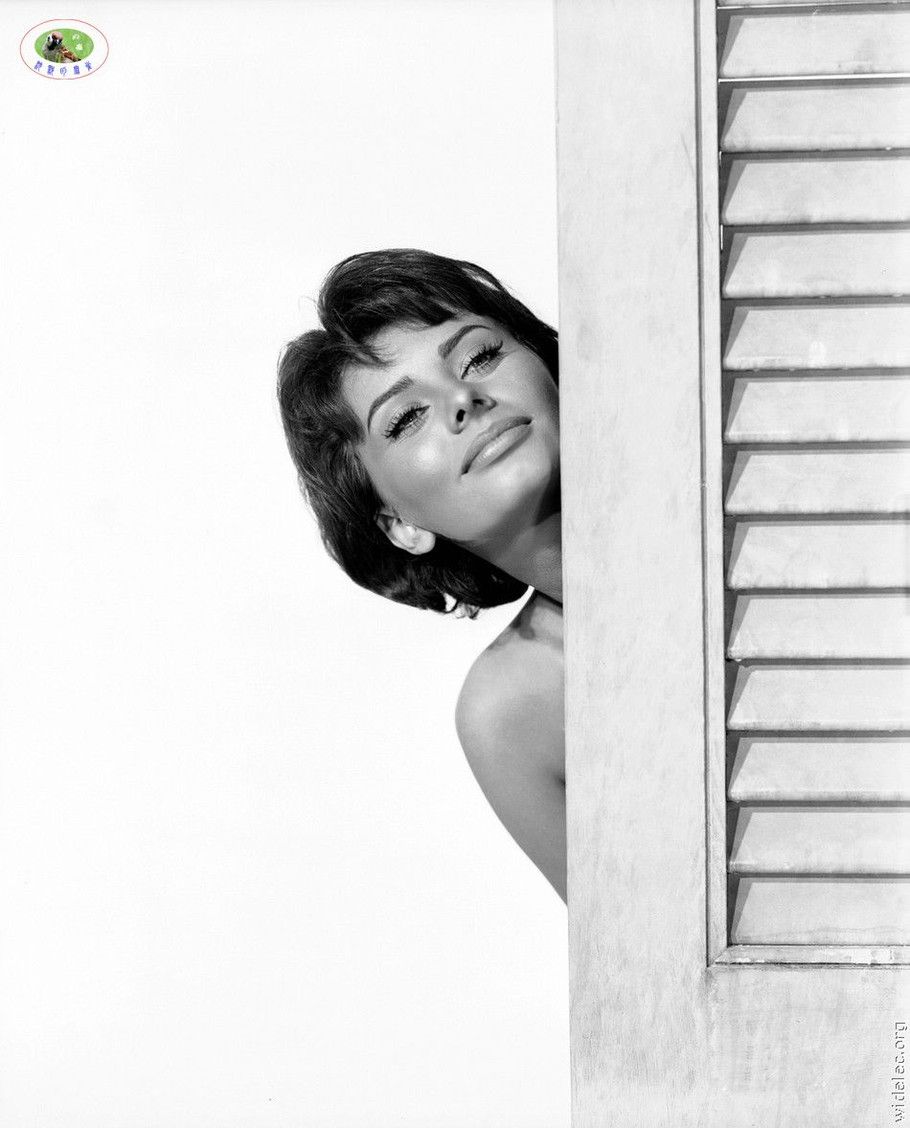Sophia Loren Sexy and Hottest Photos , Latest Pics
