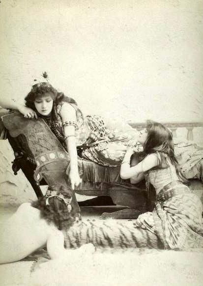 Sarah Bernhardt Sexy and Hottest Photos , Latest Pics