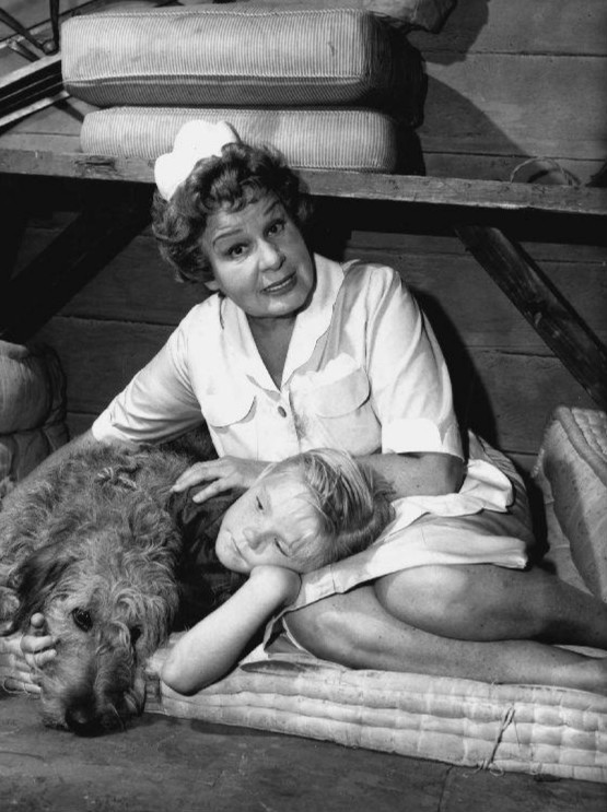 Shirley Booth Sexy and Hottest Photos , Latest Pics