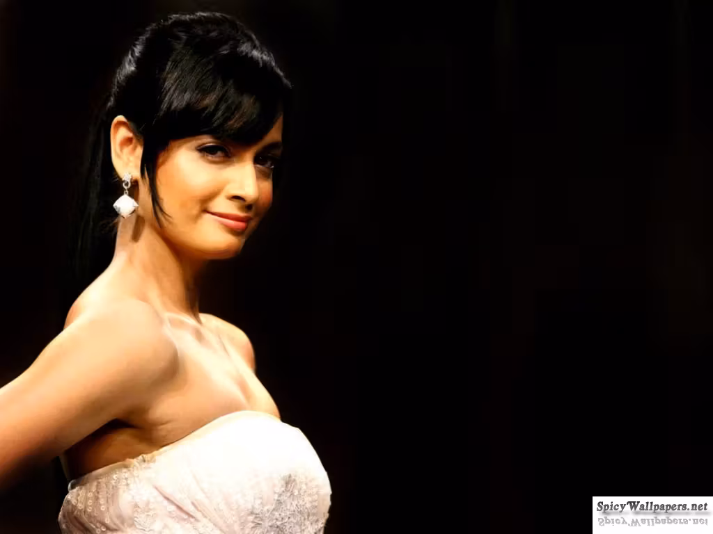 Dia Mirza  Photoshoot