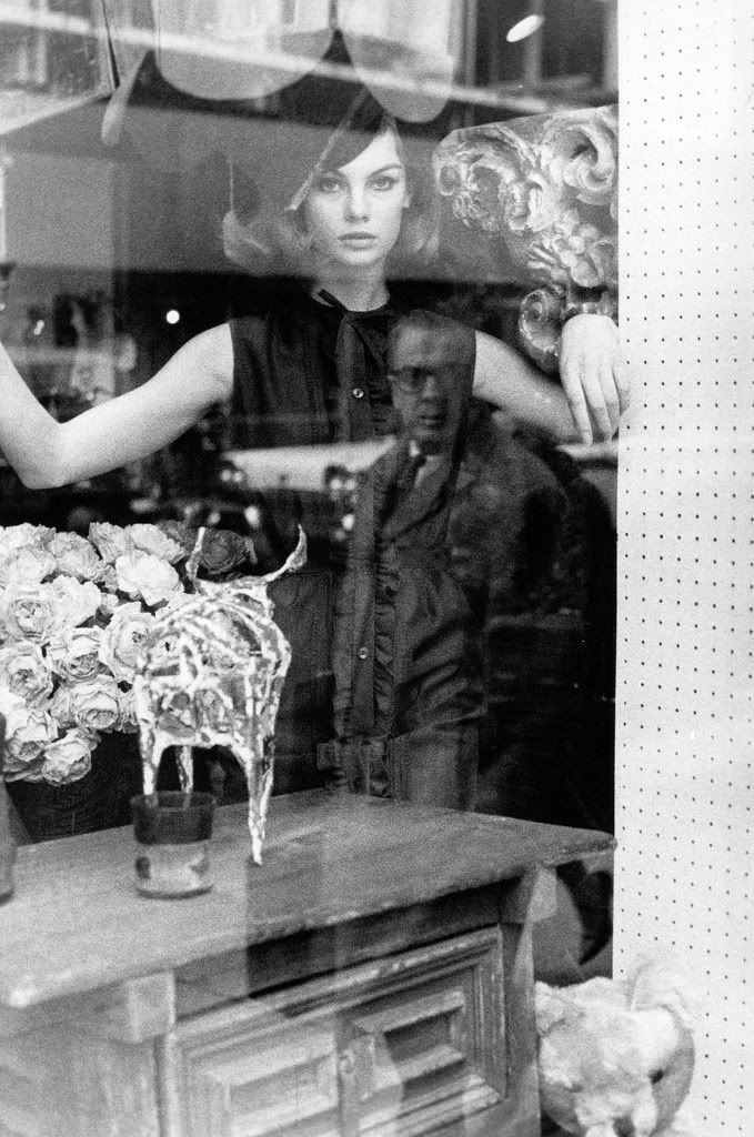 Jean Shrimpton Sexy and Hottest Photos , Latest Pics