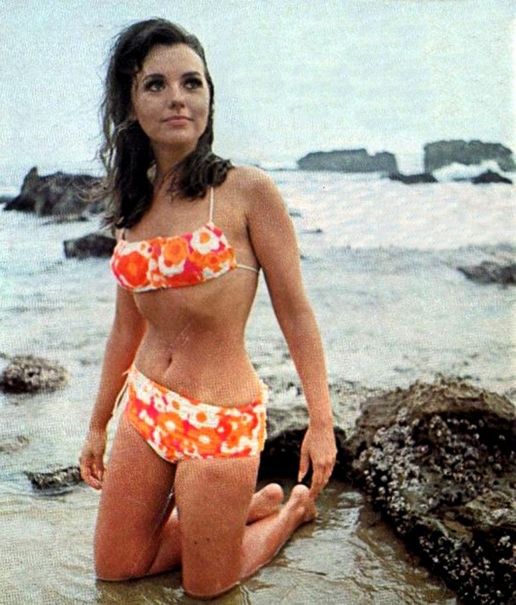 Dawn Wells Sexy and Hottest Photos , Latest Pics