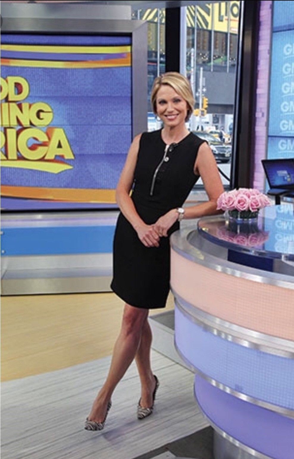 Amy Robach Sexy and Hottest Photos , Latest Pics