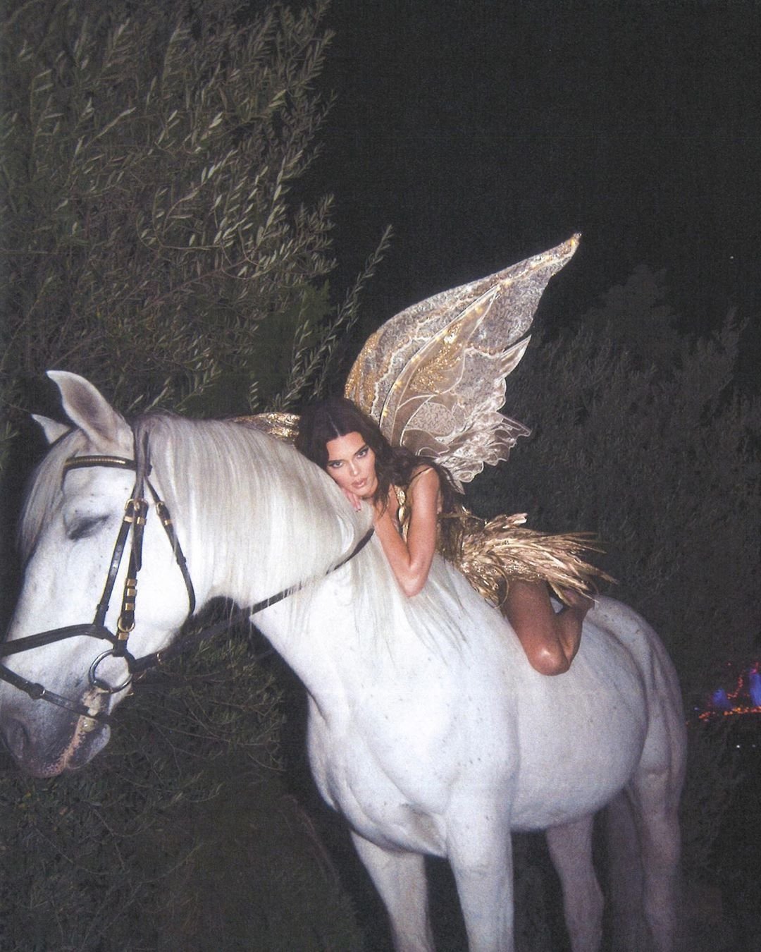 Kendall Jenner  Photoshoot