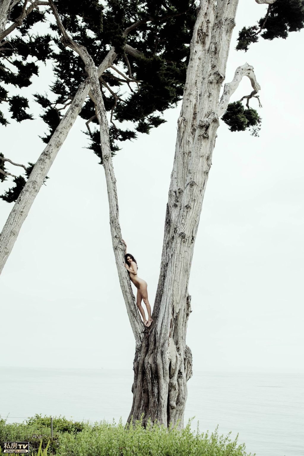 Kendall Jenner  Photoshoot