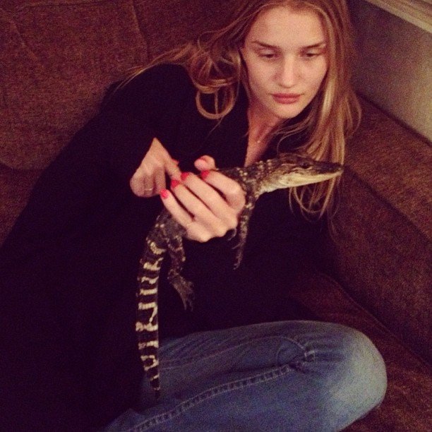 Rosie HuntingtonWhiteley Leg Photoshoot