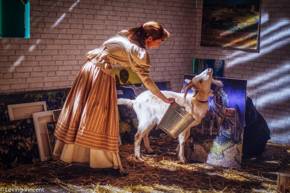 Eleanor Tomlinson  Photoshoot