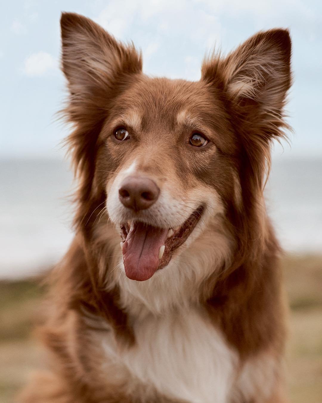 Eleanor Tomlinson  Photoshoot