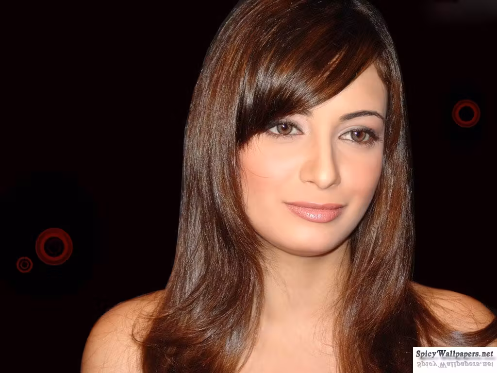 Dia Mirza  Photoshoot