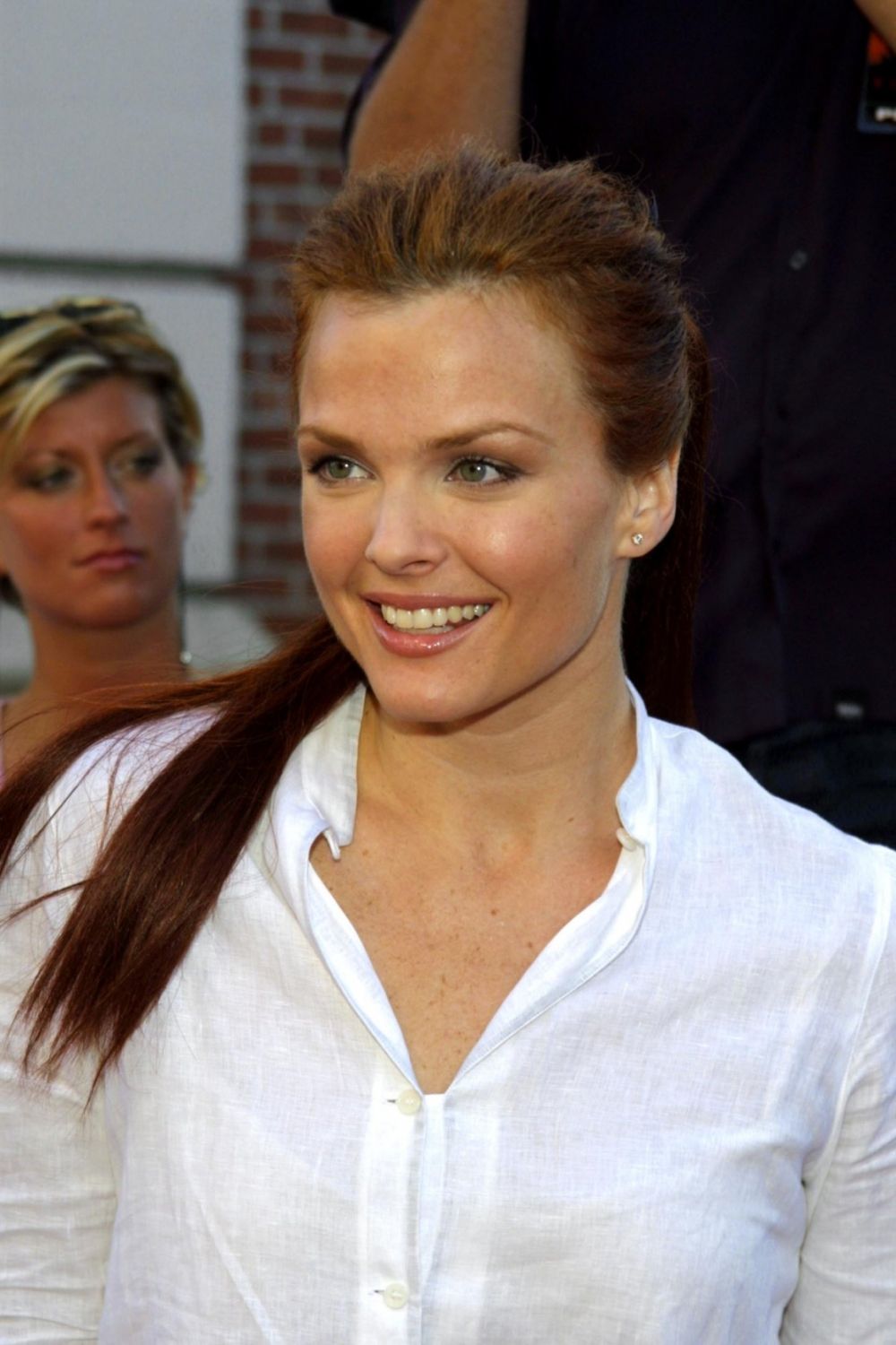 Dina Meyer Sexy and Hottest Photos , Latest Pics