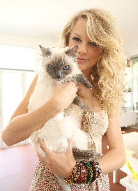 Taylor Swift  Photoshoot